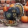 Design Toscano North American Turkey Statue QM2373100